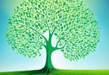 Sustainability Reporting and Transparency Sustainability Reporting and Transparency